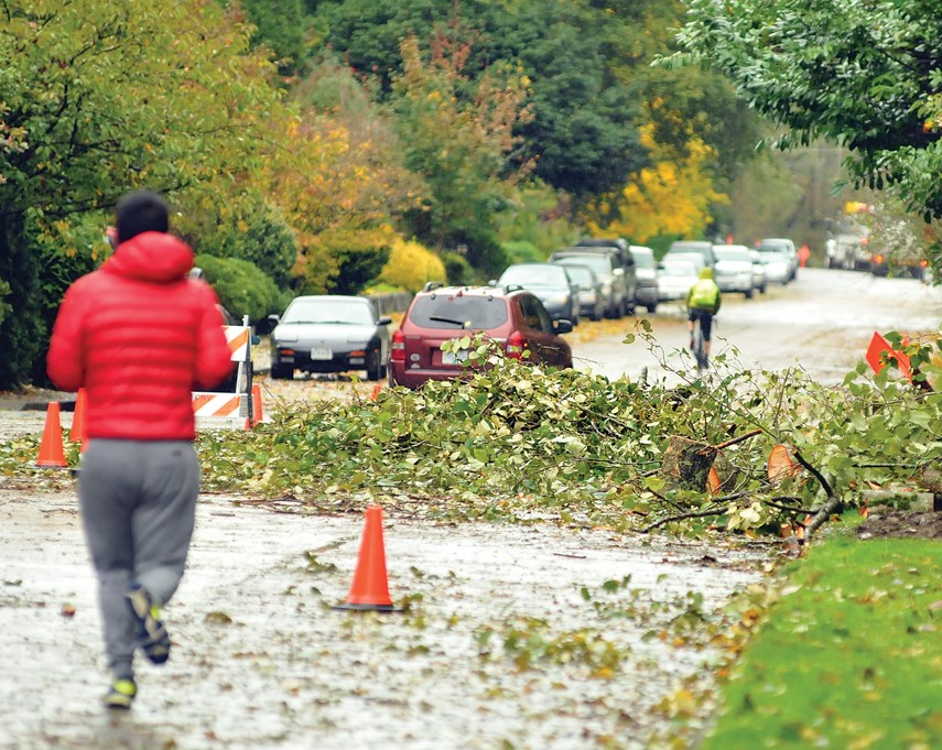 Storm Damage