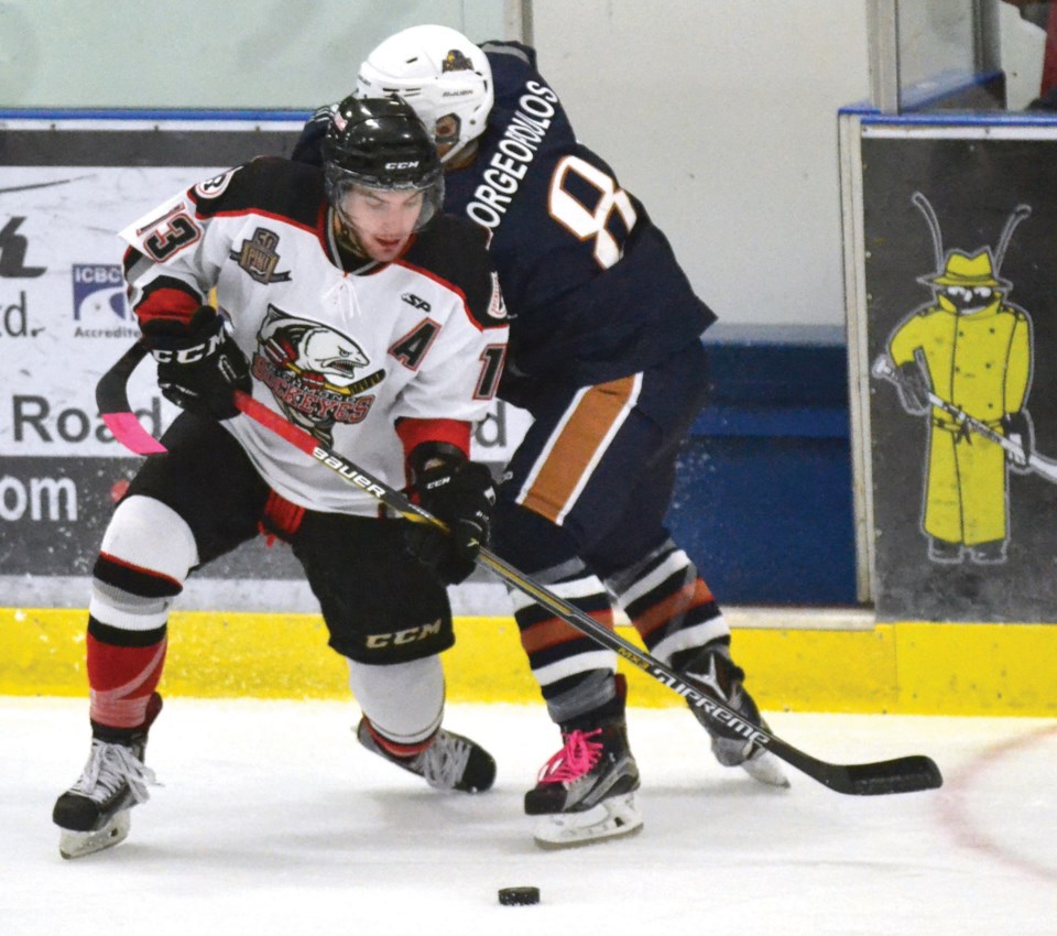 sockeyes
