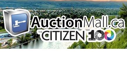 AuctionMall-=-auctionmess.2.jpg