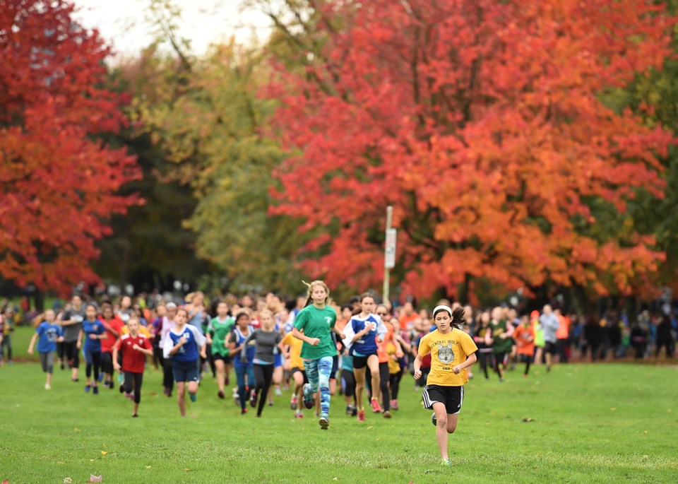trout lake cross-country running