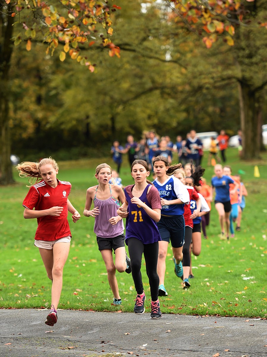 trout lake cross-country running