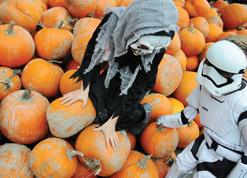 Pumpkin patrol