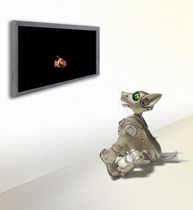 Witness New Media Gallery