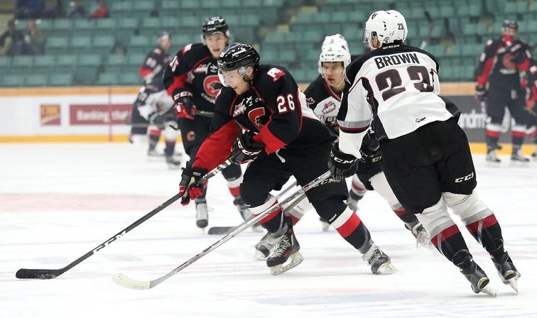 SPORT-cougars-in-Leth.28_10.jpg