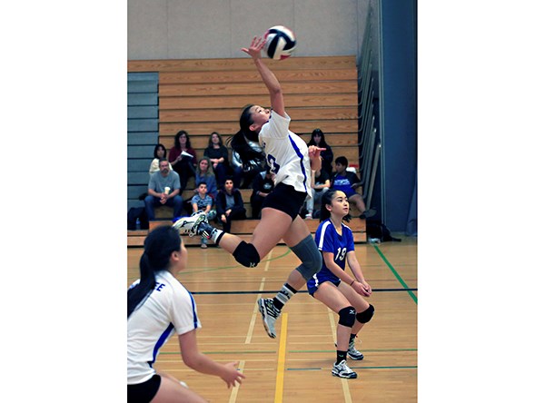 Volleyball