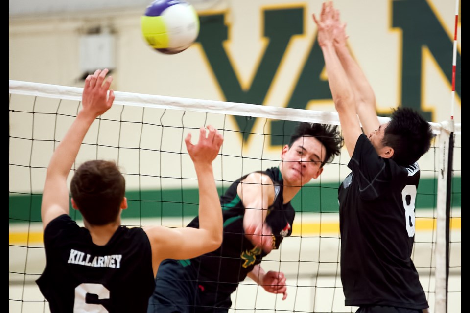 Van Tech Talisman Coltyn Liu fires a shot past the Killarney Cougar blockers in the senior boys city volleyball championship at Van Tech secondary Nov. 4, 2016. The close match went to five sets before the Talismen won their second straight title. Photo Chung Chow