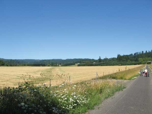 The 34-kilometre Banks-Vernonia State Trail became the first rails-to-trails state park built in Oregon. It's part of a 31,000-kilometre rail-trail network built on abandoned railbeds across the U.S.