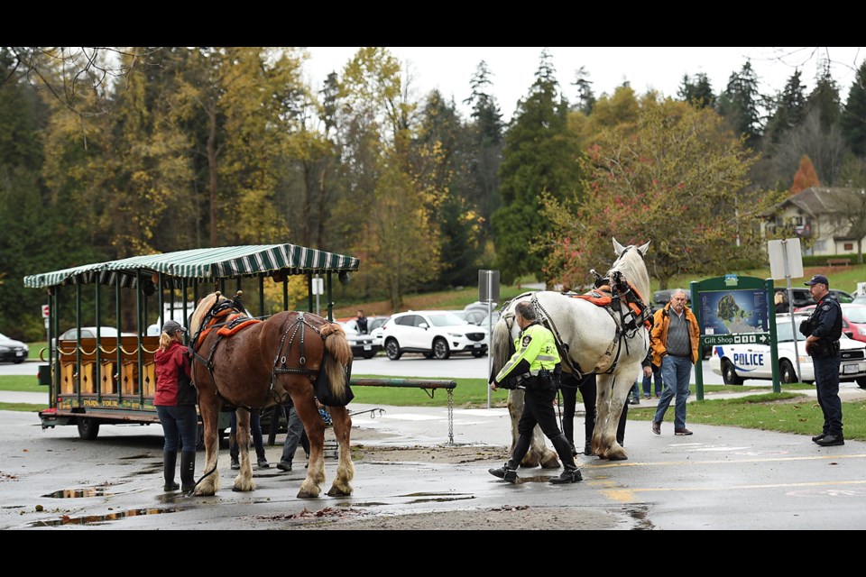 The sound of a car horn and chants from Kinder Morgan protesters at the entrance to a press conference with Prime Minister Justin Trudeau startled two horses pulling a Stanley Park Horse-Drawn Tours carriage. The horses bolted directly into a traffic sign and then obliterated a park bench along the seawall. Photo Dan Toulgoet