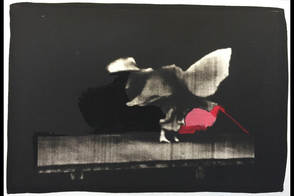 Rapture of The Deep, a palladium print with acrylic from 2016, is one of Andrea Taylor’s works that will be featured in the Eastside Culture Crawl.