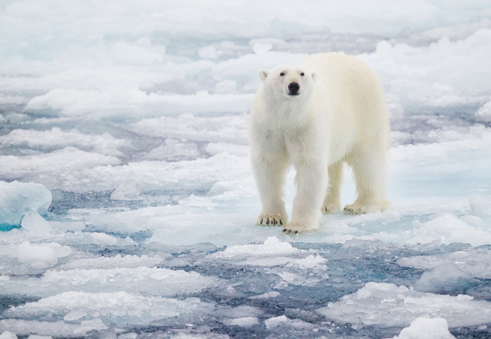 SCIENCE MATTERS 1110