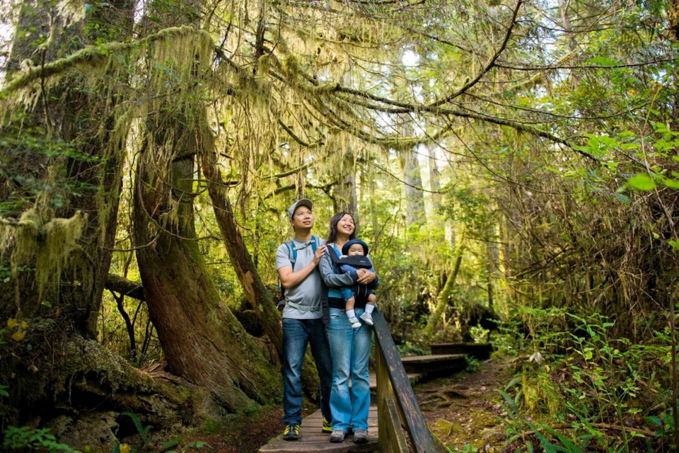 Hikers in Pacific Rim National Park. A proposal for a 28-kilometre biking and hiking trail linking Tofino and Ucluelet is gathering steam.