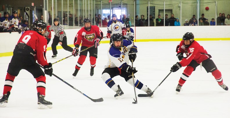hockey