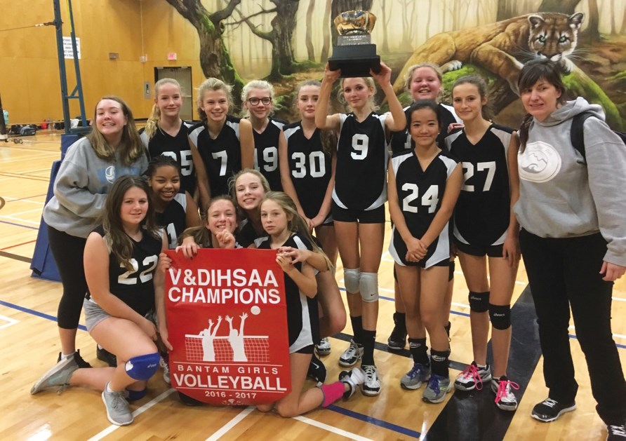 volleyball