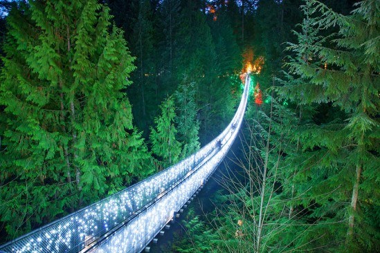 The Capilano Suspension Bridge: Canyon Lights is open and includes the world's tallest Christmas tree, the Cliffwalk and more.
