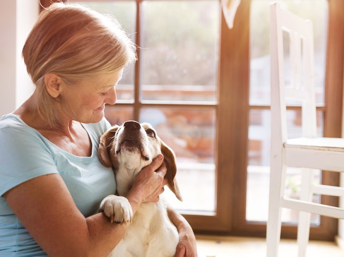 pets to vets