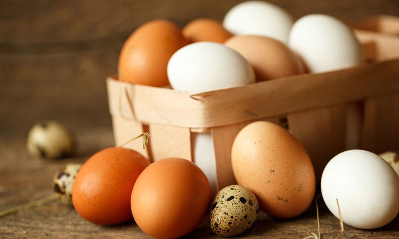 1201 Whole Nourishment eggs