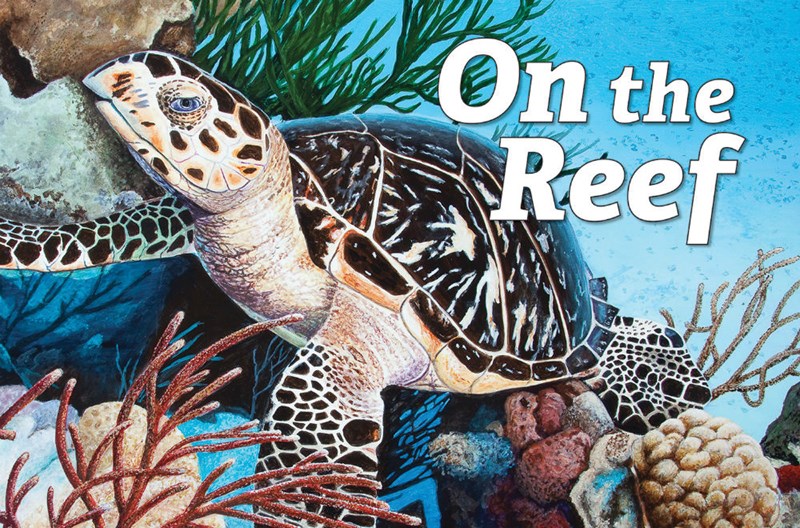 on the reef