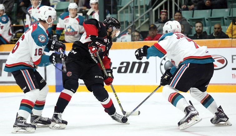 SPORT-cougars-vs.-Vic-previ.jpg