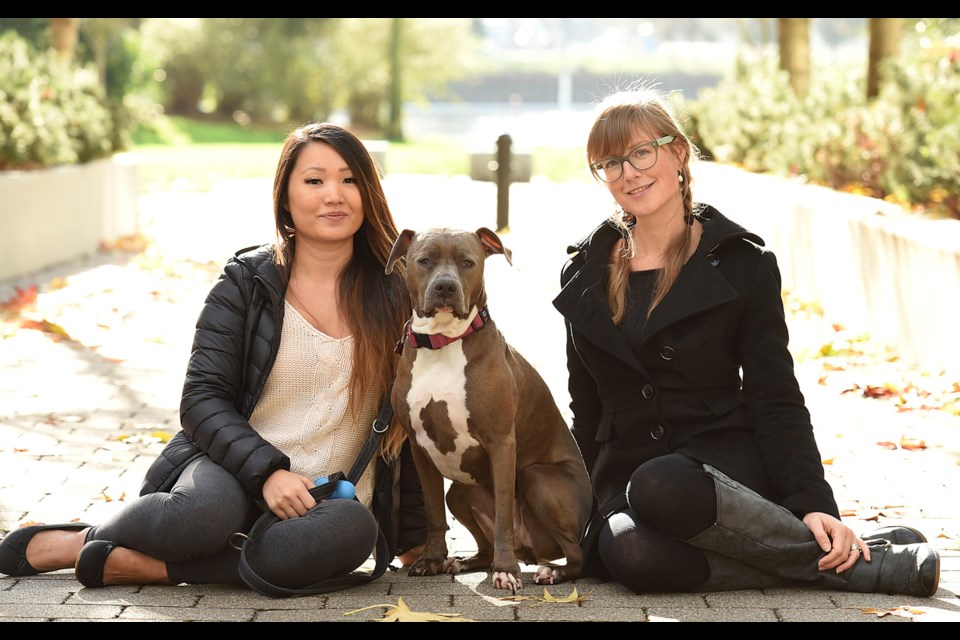 Adrianna Hepper (right) is behind a new online pet sitting network used by Jen Liu and her five-year-old Bluenose pitbull Chloe. Photo Dan Toulgoet. Read story here.