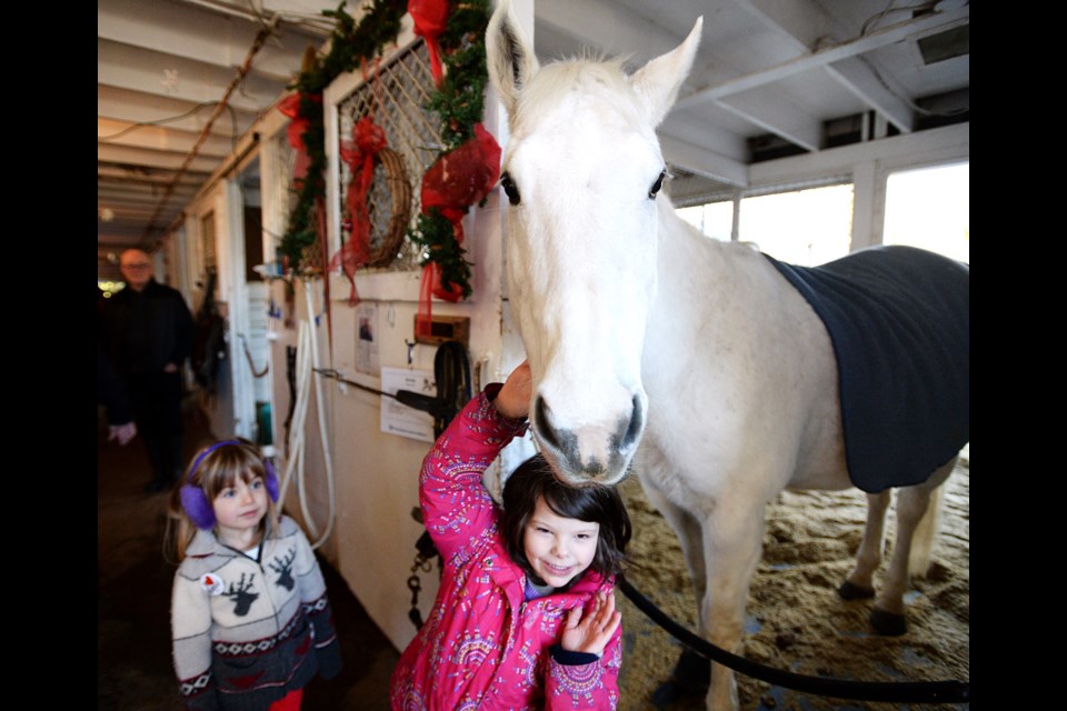 Blaire Andrews, 5, visits with Celeste the horse.