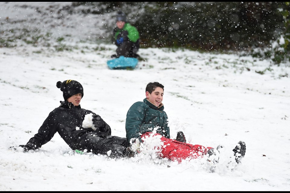 Queen Elizabeth park was popular for snow sports Monday morning. Nadav Sadlik (left), 14, and Ben Bogdonov, 15, slide down the slopes. Photo Dan Toulgoet