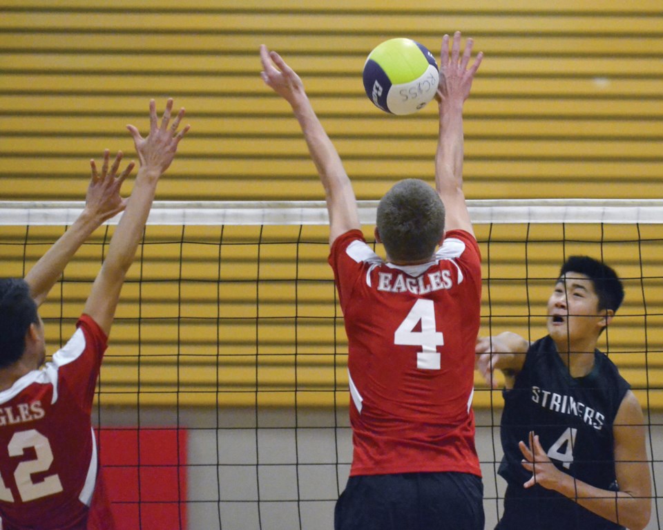 volleyball