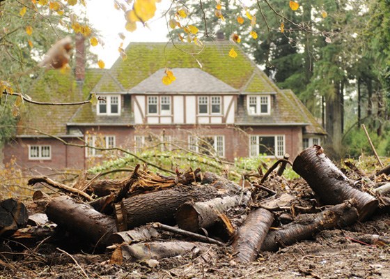 Arran and Ratana Stephens own a home at 4785 West Second Ave. where 25 trees were removed last November.