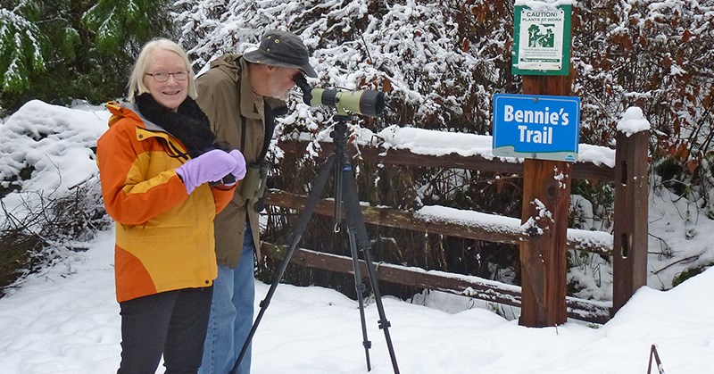 Bird count