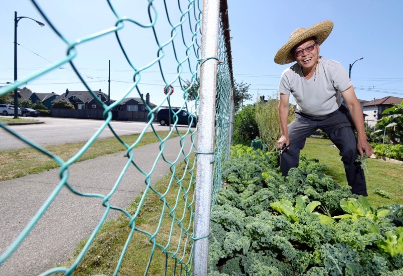 "Westerners like to grow flowers! We don’t like flowers because you can’t eat flowers. There’s no reward. You can only look at them. With produce, you can play in the yard, and you can have something to eat." — East Side gardener Jason Lee. Photo Jennifer Gauthier