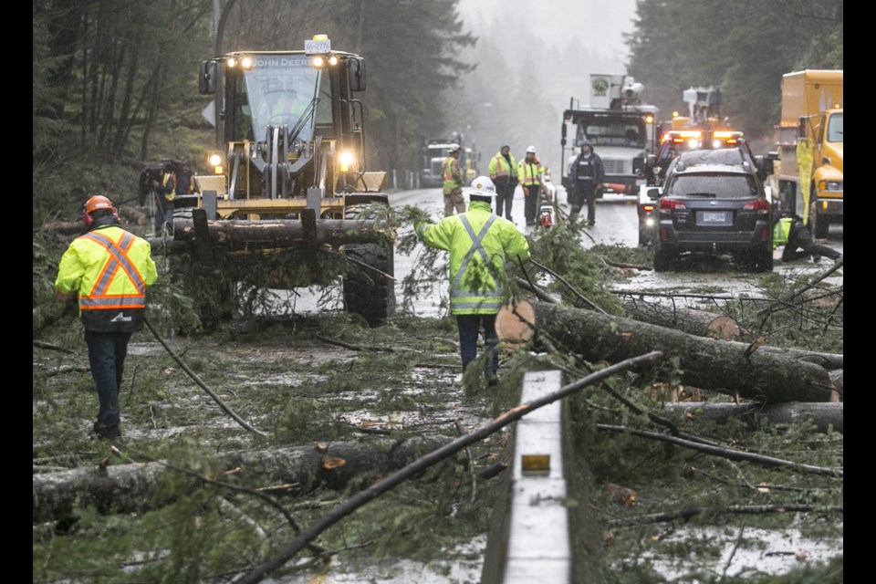 Crews work at removing trees from the Trans-Canada Highway near Goldstream Park on Tuesday, December 20, 2016. Photograph by Darren Stone/Times Colonist