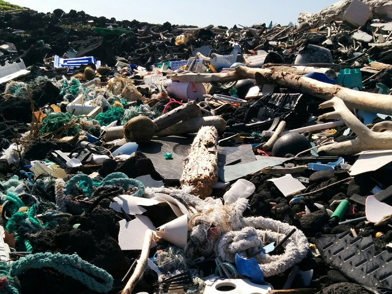 Harmful plastic
