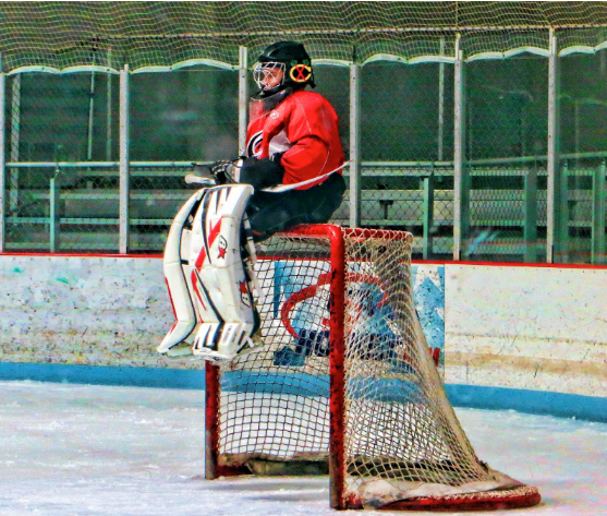 Goalie on net