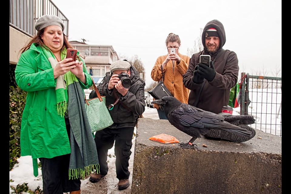 Left to right: Karen Zaharuk, Thom Hamilton, Emily Couves and Shawn Bergman attended a meet and greet with winged celebrity Canuck the Crow. Photo Chung Chow.