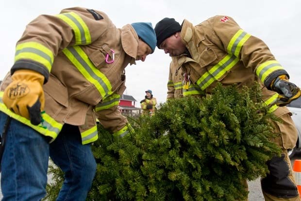 tree recycling