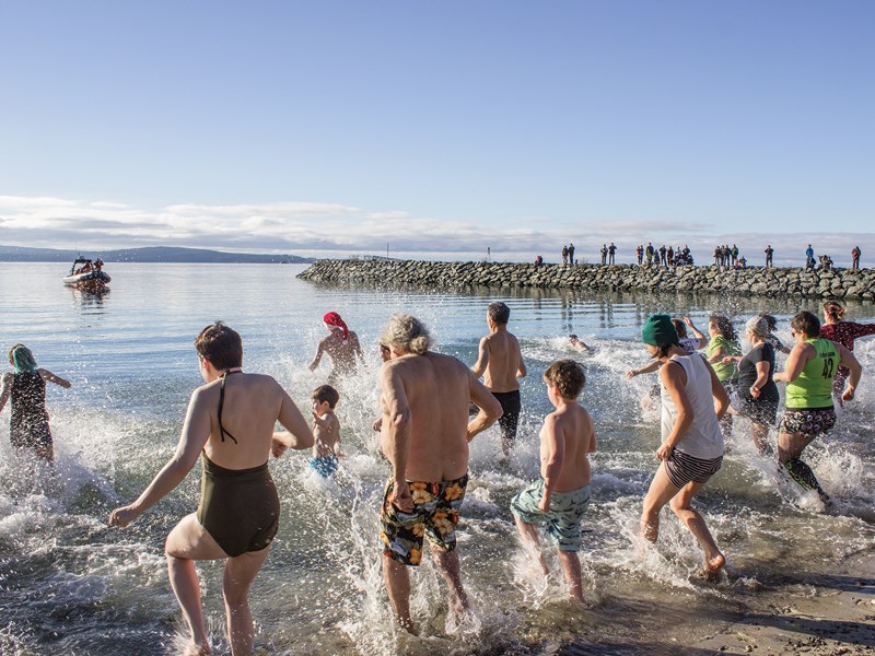 Polar bear swim