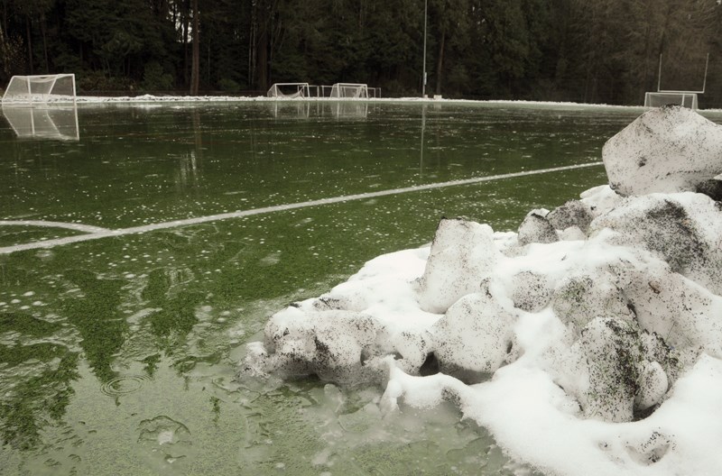 field flooding
