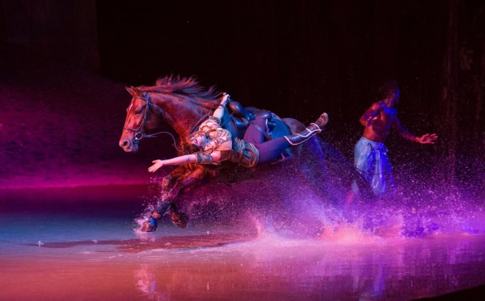 Cavalia