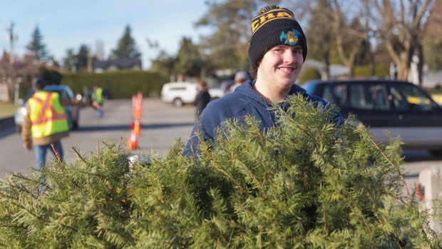 Michael Marsh carries a tree toward the chipper during the annual Christmas tree chipping event at Memorial Park in Ladner last weekend. Lions clubs once again held tree chipping events in Ladner, Tsawwassen and North Delta.