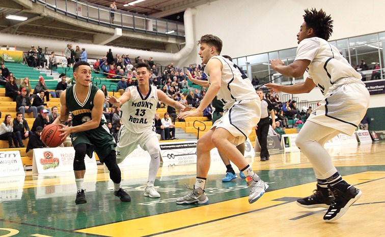 UNBC Timberwolves point guard Tyrell Laing draws the attention of three Mount Royal Cougars during Saturday's game at the Charles Jago Northern Sport Centre.