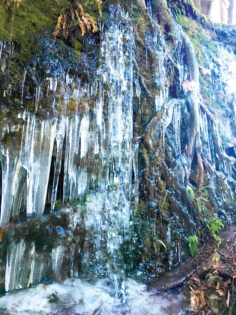icicles