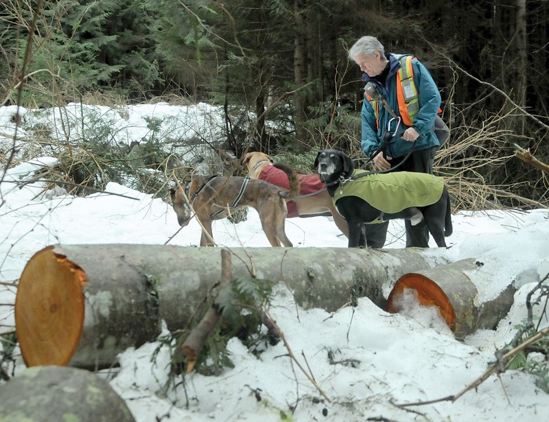 trail closure