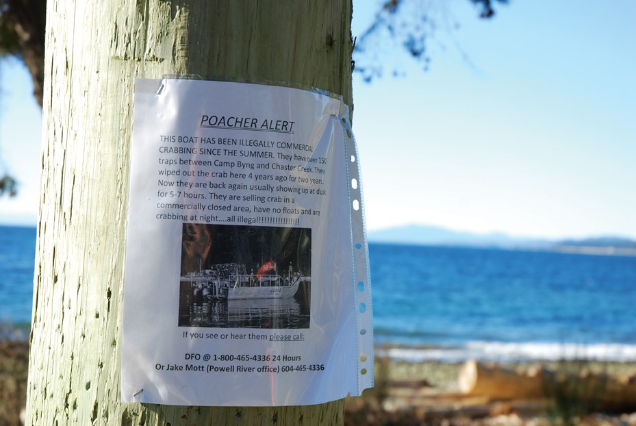 Posters like this one on Ocean Beach Esplanade prompted several calls to DFO about suspected illegal crabbing.