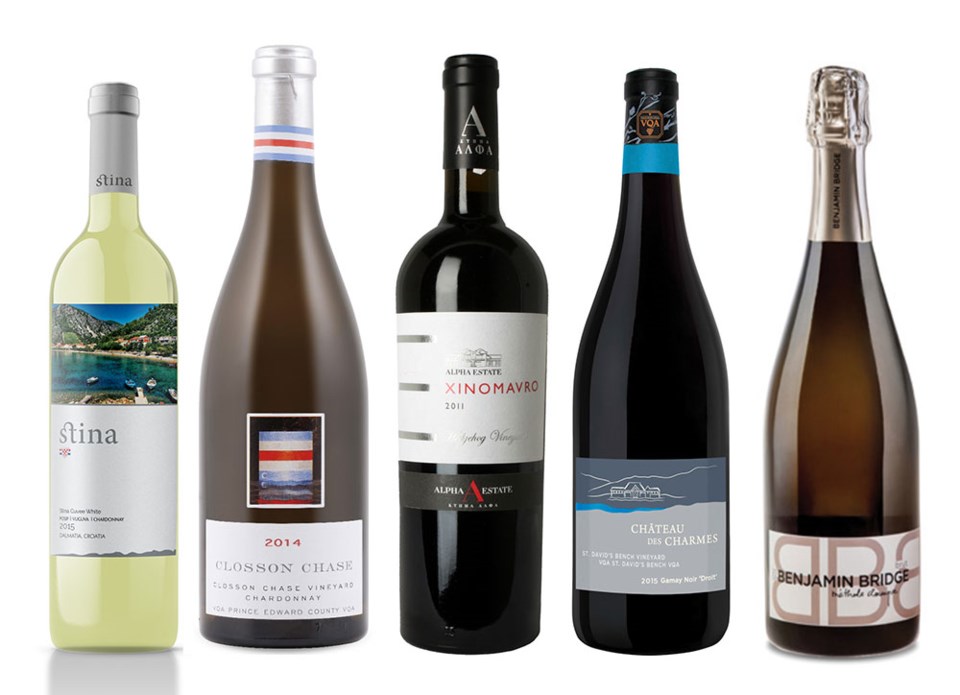 0209 BTB wine festival contributed