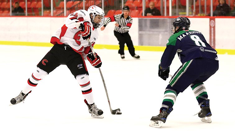 Cariboo Cougars