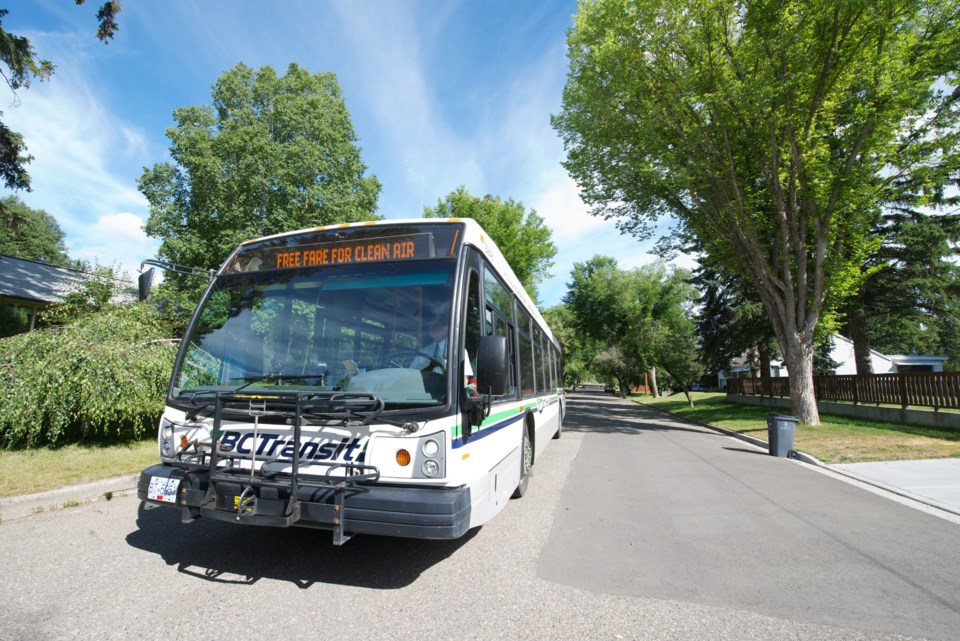 seniors-transit-feedback.15.jpg