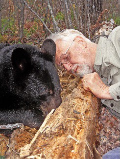 bears