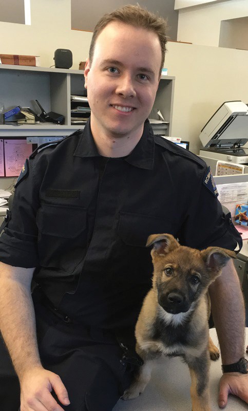 pup