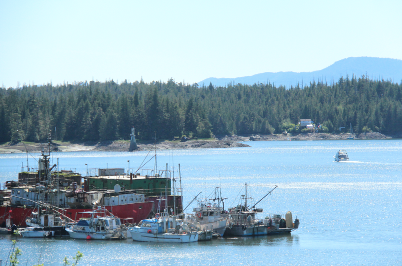 Lelu Island, the proposed site of Pacific NorthWest LNG.