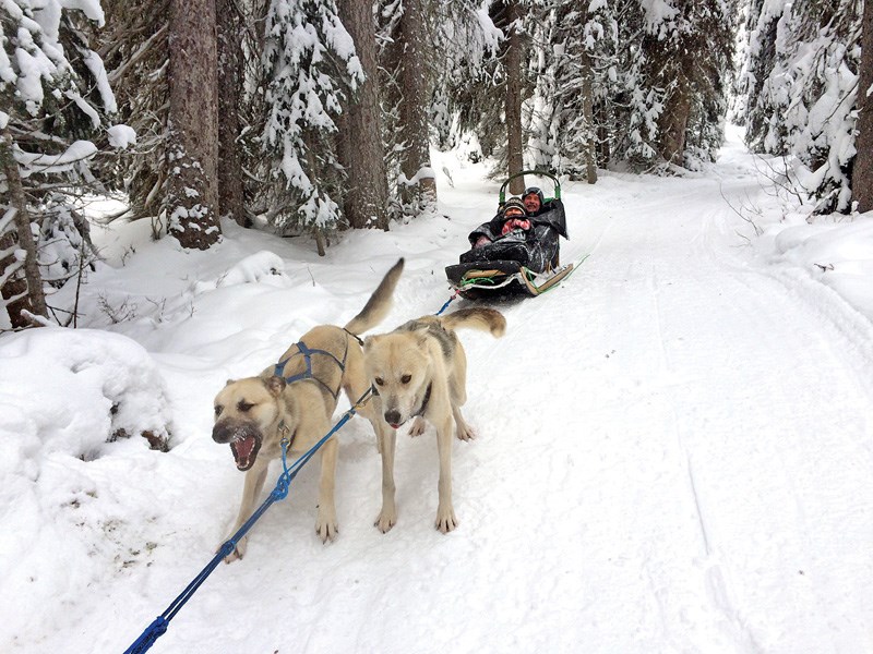Sun Peaks