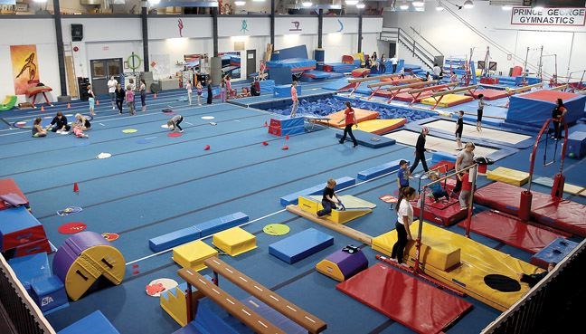 SPORT-HS-gymnastics-provs.2.jpg